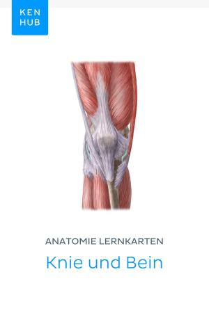 Book cover of Anatomie Lernkarten: Knie und Bein