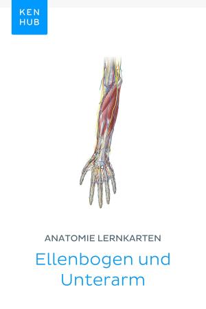 Book cover of Anatomie Lernkarten: Ellenbogen und Unterarm