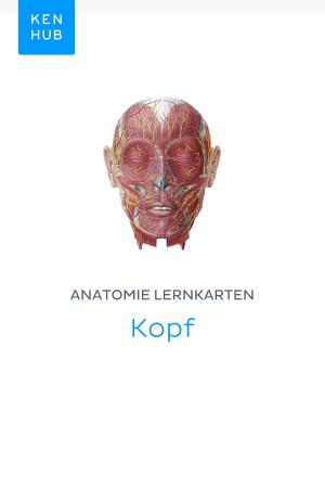Book cover of Anatomie Lernkarten: Kopf
