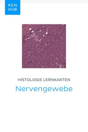 Book cover of Histologie Lernkarten: Nervengewebe