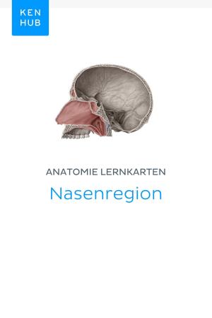 Book cover of Anatomie Lernkarten: Nasenregion