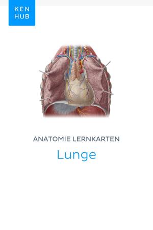Book cover of Anatomie Lernkarten: Lunge