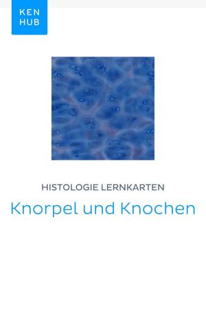 Book cover of Histologie Lernkarten: Knorpel und Knochen
