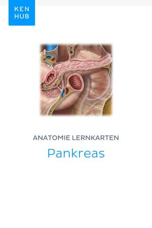 Book cover of Anatomie Lernkarten: Pankreas