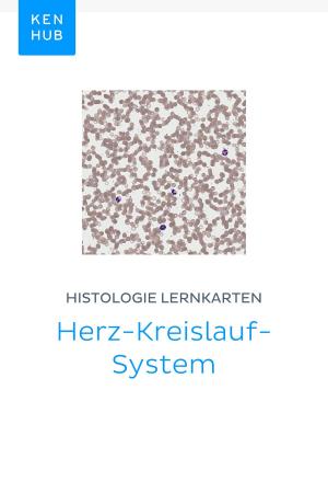 Book cover of Histologie Lernkarten: Herz-Kreislauf-System