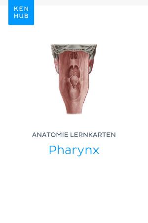 Book cover of Anatomie Lernkarten: Pharynx