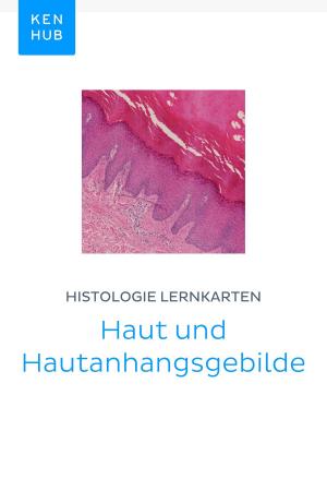 Book cover of Histologie Lernkarten: Haut und Hautanhangsgebilde