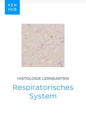 Cover of Histologie Lernkarten: Respiratorisches System