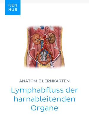 Book cover of Anatomie Lernkarten: Lymphabfluss der harnableitenden Organe