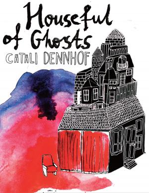bigCover of the book A Houseful of Ghosts by 