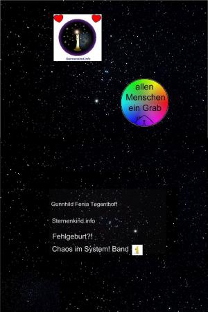 Cover of the book Fehlgeburt? Chaos im System! Band 1 by Steven L. Bindeman, Karl Javorszky
