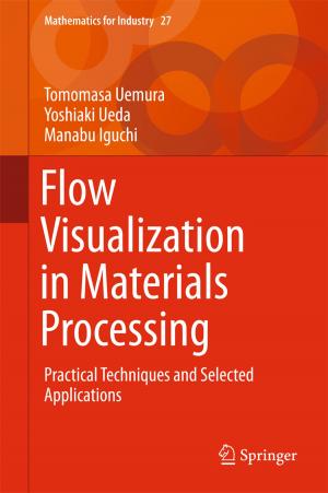 Cover of the book Flow Visualization in Materials Processing by Hiroaki Nomori, Morihito Okada