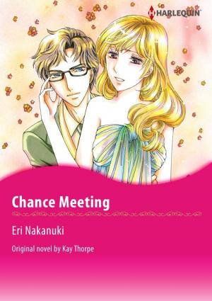 Cover of the book CHANCE MEETING by Ann Roth