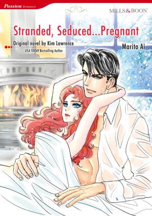 Cover of the book STRANDED, SEDUCED...PREGNANT by Anna Schmidt