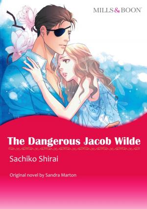 Book cover of THE DANGEROUS JACOB WILDE