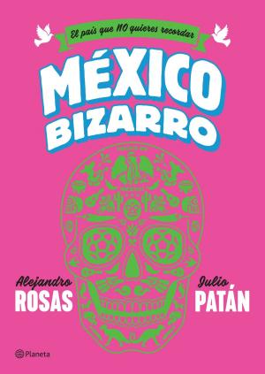 Cover of the book México bizarro by Jenny Diski