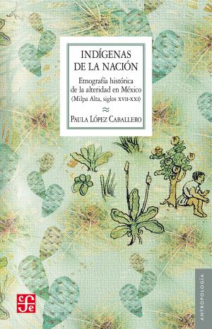 Cover of the book Indígenas de la nación by Francisco Hinojosa