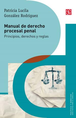 Cover of the book Manual de derecho procesal penal by Sor Juana Inés de la Cruz