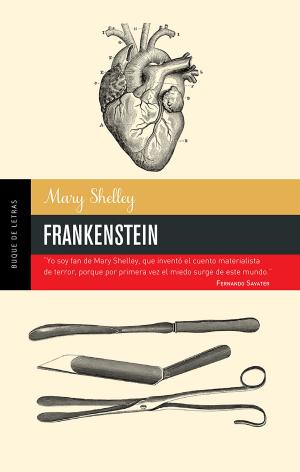 bigCover of the book Frankenstein by 