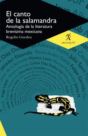 Book cover of El canto de la salamandra