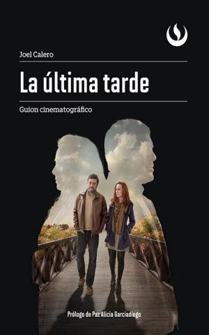 Cover of the book La última tarde by Stefano Michelini