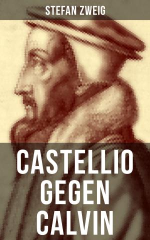 Book cover of Castellio gegen Calvin