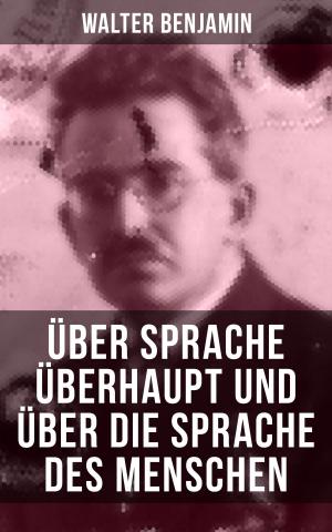 Cover of the book Walter Benjamin: Über Sprache überhaupt und über die Sprache des Menschen by Wilhelm Raabe