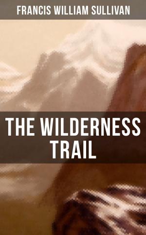 Cover of the book The Wilderness Trail by Michel de Montaigne