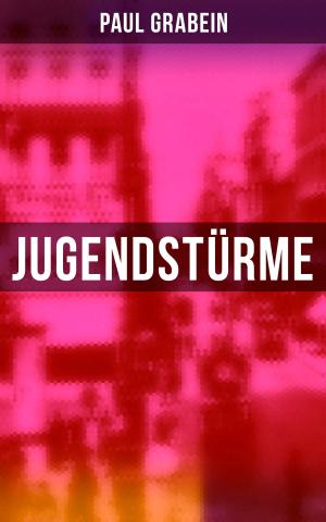 Cover of the book Jugendstürme by Fritz Mauthner