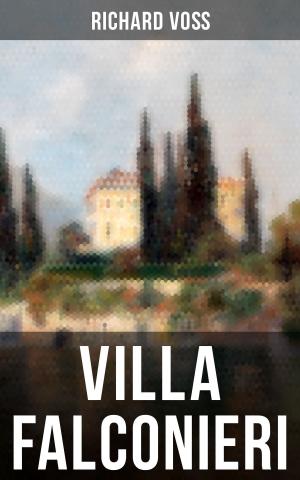 Cover of the book Villa Falconieri by Martin Luther