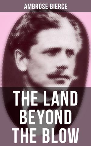 Book cover of The Land Beyond the Blow