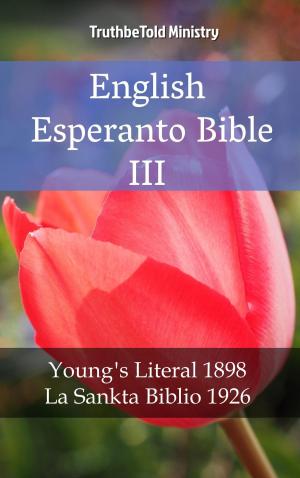 Cover of the book English Esperanto Bible III by James Robinson