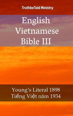 bigCover of the book English Vietnamese Bible III by 