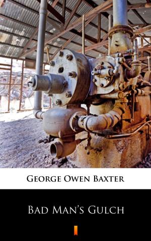 Cover of the book Bad Man’s Gulch by George Owen Baxter