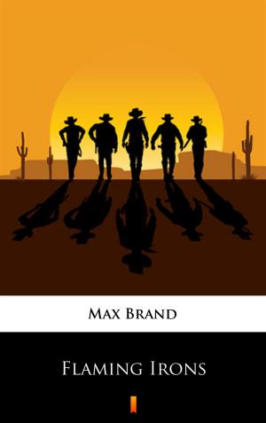 Cover of the book Flaming Irons by Fred M. White