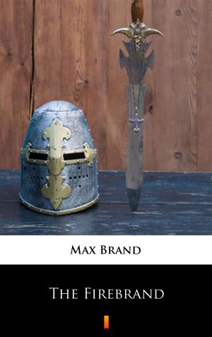 Cover of the book The Firebrand by Maurice Leblanc