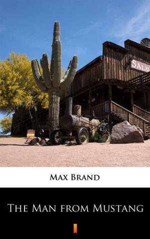 Cover of the book The Man from Mustang by Max Brand