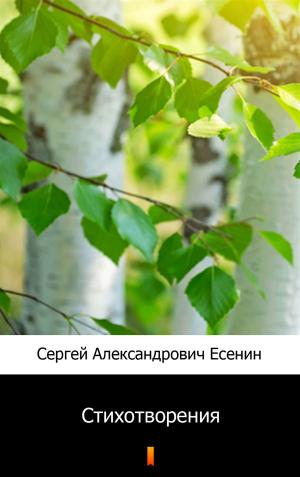 Cover of the book Стихотворения by Fida Islaih