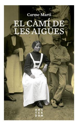 Cover of the book El camí de les Aigües by Kilian Jornet Burgada