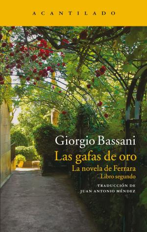 Book cover of Las gafas de oro