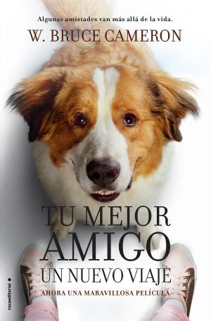 Cover of the book La razón de estar contigo. Un nuevo viaje by Corinne Michaels