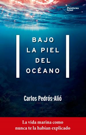 Cover of Bajo la piel del océano