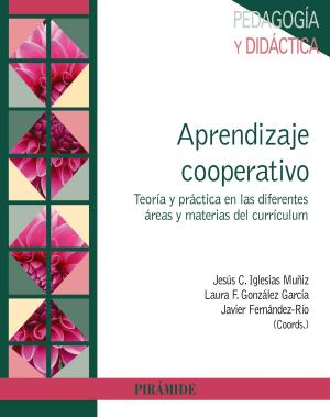 Book cover of Aprendizaje cooperativo