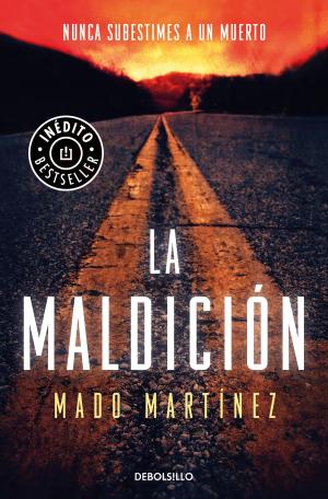 Cover of the book La maldición by Patry Jordan