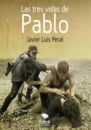 Cover of the book Las tres vidas de Pablo by José Félix Arana Rivero