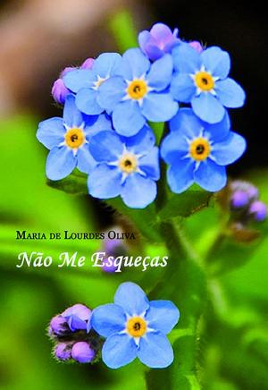 Cover of the book Não me esqueças by Miguel Moya Moya