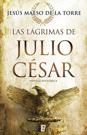 Cover of the book Las lágrimas de Julio César by Alberto Vázquez-Figueroa