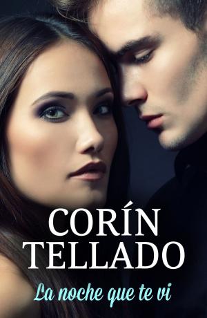 Cover of the book La noche que te vi by Magela Gracia