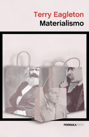 Cover of the book Materialismo by Alberto Vergara