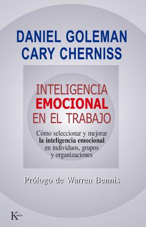 Book cover of Inteligencia emocional en el trabajo
